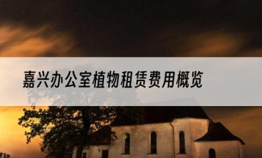 嘉兴办公室植物租赁费用概览