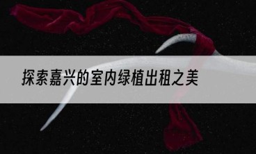 探索嘉兴的室内绿植出租之美