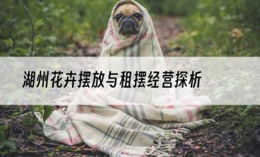 湖州花卉摆放与租摆经营探析