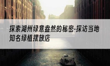 探索湖州绿意盎然的秘密-探访当地知名绿植摆放店