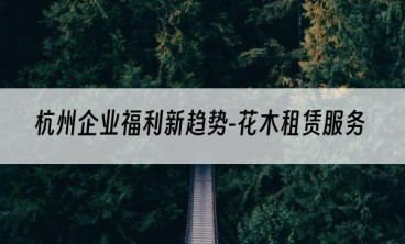 杭州企业福利新趋势-花木租赁服务