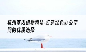 杭州室内植物租赁-打造绿色办公空间的优质选择