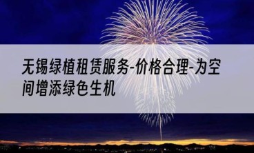 无锡绿植租赁服务-价格合理-为空间增添绿色生机