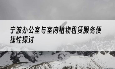 宁波办公室与室内植物租赁服务便捷性探讨