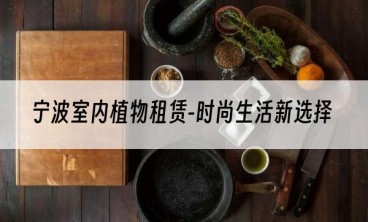宁波室内植物租赁-时尚生活新选择