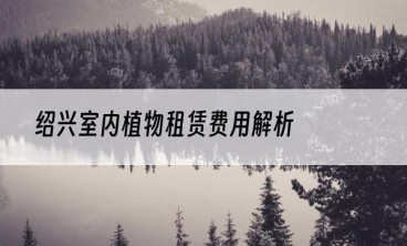 绍兴室内植物租赁费用解析