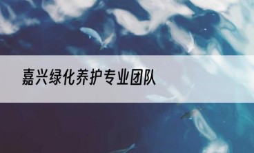 嘉兴绿化养护专业团队