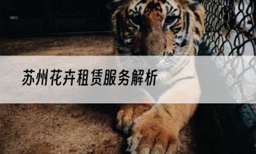 苏州花卉租赁服务解析