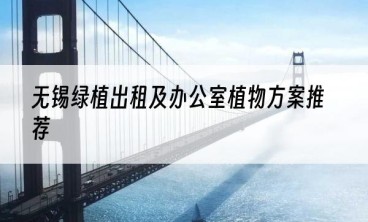 无锡绿植出租及办公室植物方案推荐