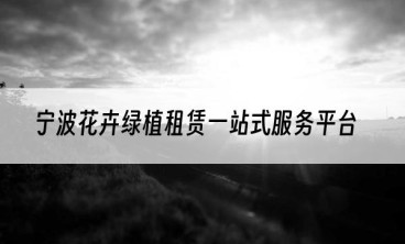 宁波花卉绿植租赁一站式服务平台
