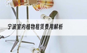 宁波室内植物租赁费用解析