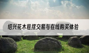 绍兴花木租摆交易与在线购买体验