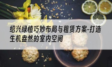 绍兴绿植巧妙布局与租赁方案-打造生机盎然的室内空间