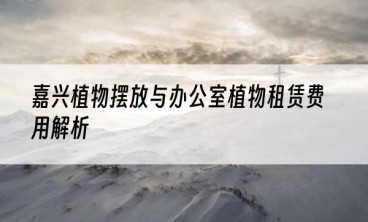 嘉兴植物摆放与办公室植物租赁费用解析