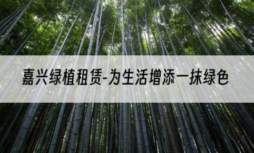 嘉兴绿植租赁-为生活增添一抹绿色