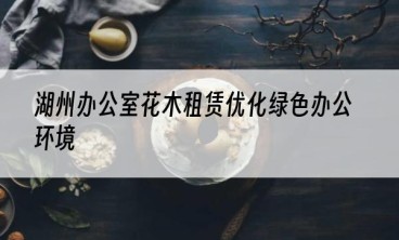 湖州办公室花木租赁优化绿色办公环境
