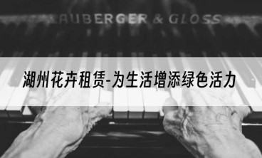 湖州花卉租赁-为生活增添绿色活力