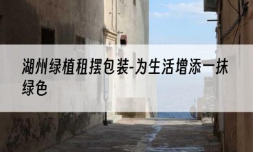 湖州绿植租摆包装-为生活增添一抹绿色