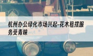 杭州办公绿化市场兴起-花木租摆服务受青睐