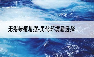 无锡绿植租摆-美化环境新选择