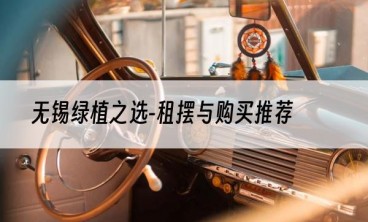 无锡绿植之选-租摆与购买推荐