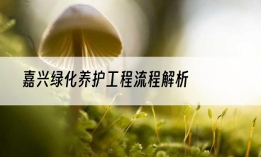 嘉兴绿化养护工程流程解析
