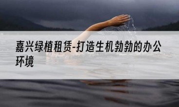 嘉兴绿植租赁-打造生机勃勃的办公环境