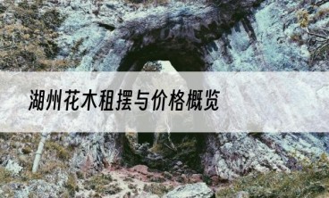 湖州花木租摆与价格概览