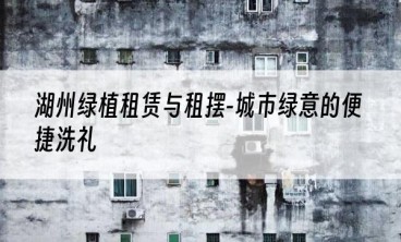 湖州绿植租赁与租摆-城市绿意的便捷洗礼