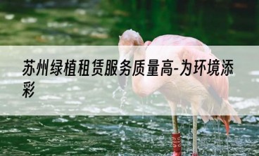 苏州绿植租赁服务质量高-为环境添彩