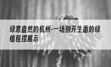 绿意盎然的杭州-一场别开生面的绿植租摆展示