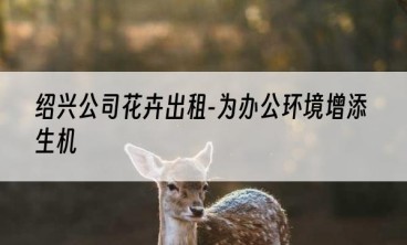 绍兴公司花卉出租-为办公环境增添生机