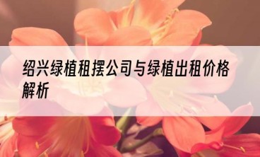 绍兴绿植租摆公司与绿植出租价格解析
