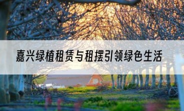 嘉兴绿植租赁与租摆引领绿色生活