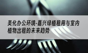 美化办公环境-嘉兴绿植租用与室内植物出租的未来趋势