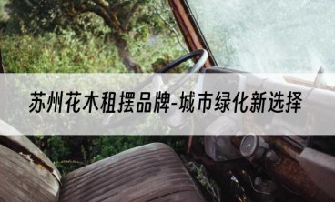 苏州花木租摆品牌-城市绿化新选择