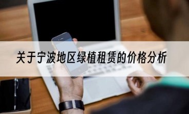 关于宁波地区绿植租赁的价格分析