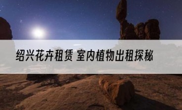 绍兴花卉租赁 室内植物出租探秘