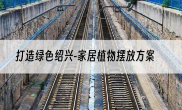 打造绿色绍兴-家居植物摆放方案