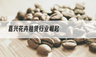 嘉兴花卉租赁行业崛起