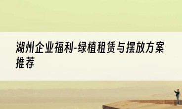 湖州企业福利-绿植租赁与摆放方案推荐