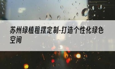 苏州绿植租摆定制-打造个性化绿色空间