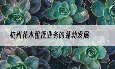 杭州花木租摆业务的蓬勃发展