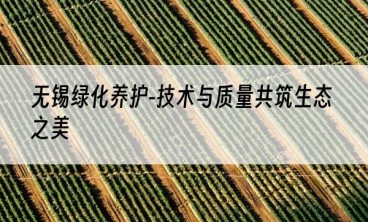 无锡绿化养护-技术与质量共筑生态之美