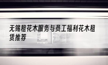 无锡租花木服务与员工福利花木租赁推荐