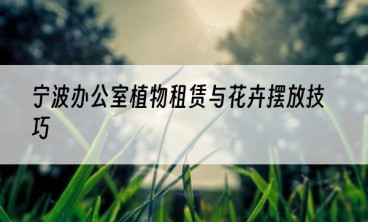 宁波办公室植物租赁与花卉摆放技巧