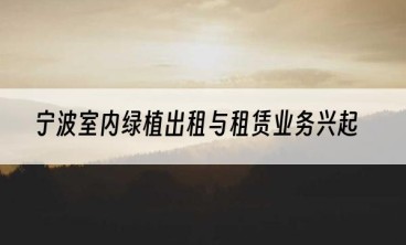 宁波室内绿植出租与租赁业务兴起