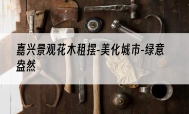 嘉兴景观花木租摆-美化城市-绿意盎然