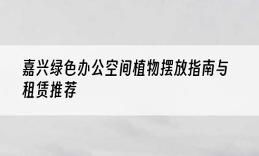 嘉兴绿色办公空间植物摆放指南与租赁推荐
