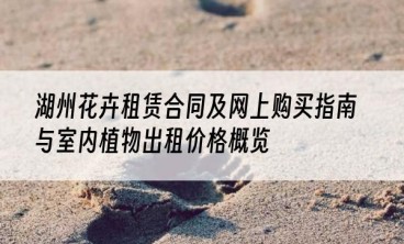 湖州花卉租赁合同及网上购买指南与室内植物出租价格概览